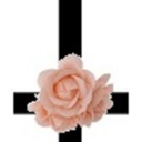 lonelysundayafternoon-blog avatar