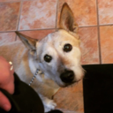 lonelywanderer11 avatar