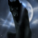 lonerofthepack avatar