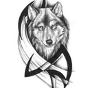 lonesilverw0lf avatar