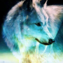 lonestarwolf1998 avatar