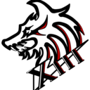 lonevoicedesigns avatar