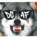 lonewolfsdgaf avatar