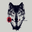 lonewolfveristas avatar