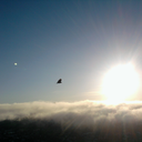 long-delirious-burning-blue avatar