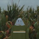 long-hands-in-the-cornfield avatar