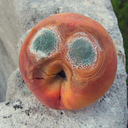 long-term-possibility avatar