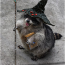 long4gottenson avatar