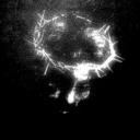 long4ourtrysts avatar