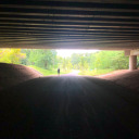 longforapricity avatar