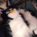 longfurbycornelius avatar
