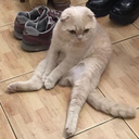 longingforgod avatar