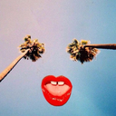 longingforlullaby avatar