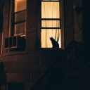 longingwhispers avatar