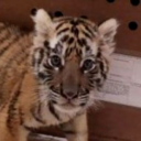 longislandmedium2 avatar