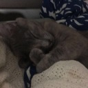 longlivelizzie avatar