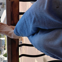 longlostrabbit avatar