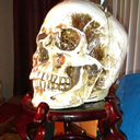 longwongjohnson avatar