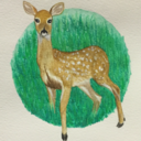 look-i-did-a-thing avatar