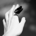 look-to-the-stars-darling-blog avatar