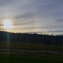 looking-for-jillian avatar