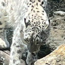 lookingforadventure-quest avatar