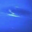 lookingforfandoms avatar