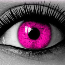 lookingforgirlfriends avatar