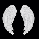 lookingformyownwings avatar