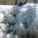 lookingforthatbod avatar