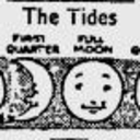 lookingforwings avatar