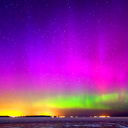 lookinggforalaska avatar