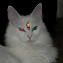 lookinglikeyoujustw0keup avatar