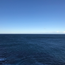 lookuplookdownlookallaround avatar