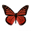 loonaed-archive avatar