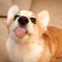 loopofunhappiness avatar