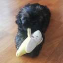 loot-and-cake avatar