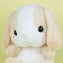 loppybunnie avatar