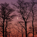 loquenofuimos avatar