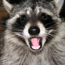 loquesemeocurra-blog-blog avatar