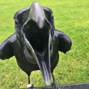 lord-cornmont avatar