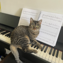 lord-of-floof avatar