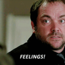 lord-of-the-feels avatar