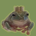 lord-of-the-frogs avatar