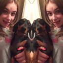 lordmajowlennt avatar