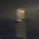 lordnsaviorkermit avatar