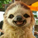 lordofthewholockrings avatar