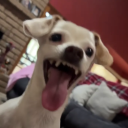 lordsaveus avatar