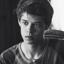 lordwilliamstark avatar