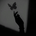 lorelai-fischer666 avatar